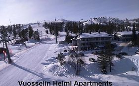 Vuosselin Helmi Apartments